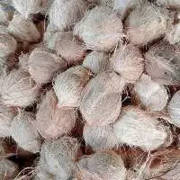 Dried Coconut