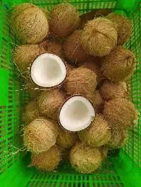 Dried Coconut