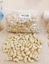 Cashew Nut