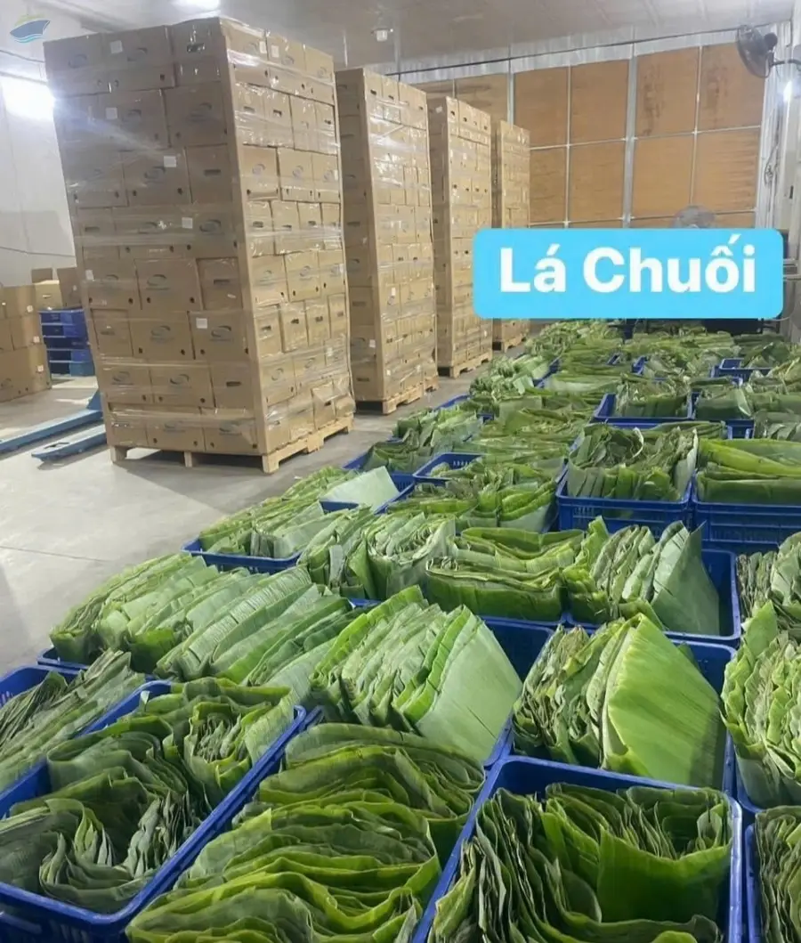 Banana Leaves