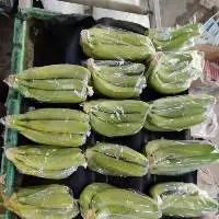 Fresh Banana