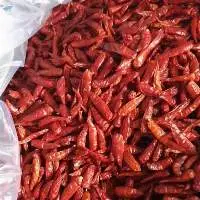 Dried Chili