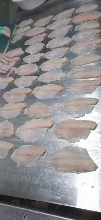 Tilapia Fillets