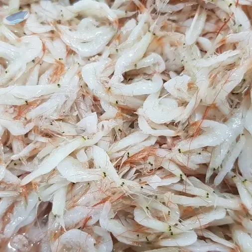 Salted Baby Shrimp