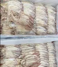Dried Squid