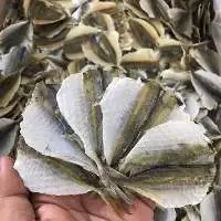 Dried Yellow-stripe Scad