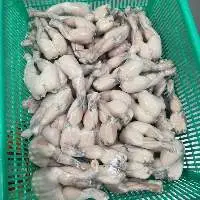 Frog Legs