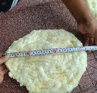 Baked Fish Maw - Oval Shape