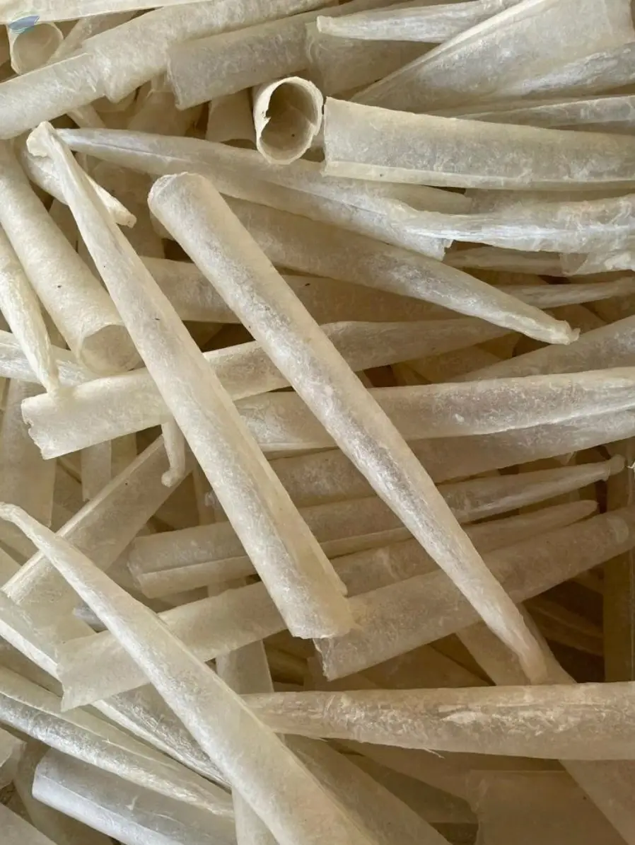 Dried Fish Maw - Tube Shape