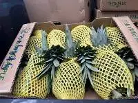 Fresh Pineapple