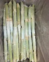 Frozen Sugarcane