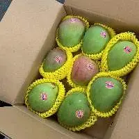Fresh Mango