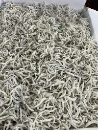 Frozen Chirimen Fish