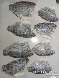Tilapia Fillet