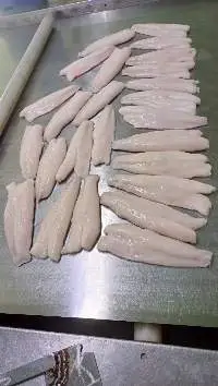 Snakehead Fish Fillet