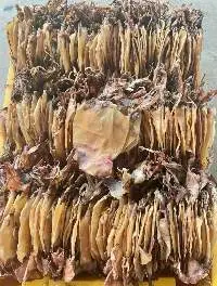 Dried Black Squid
