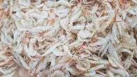 Salted Baby Shrimp