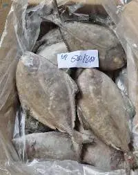 Frozen Black Pomfret