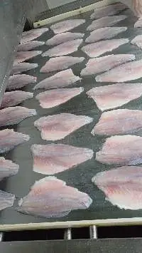 Frozen Barramundi Fillet