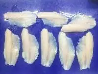 Frozen Red Tilapia Fillet