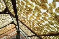 Dried Yellow Stripe Scad