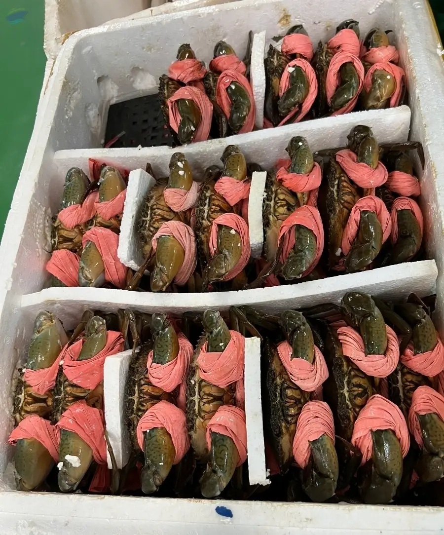 Frozen Crab