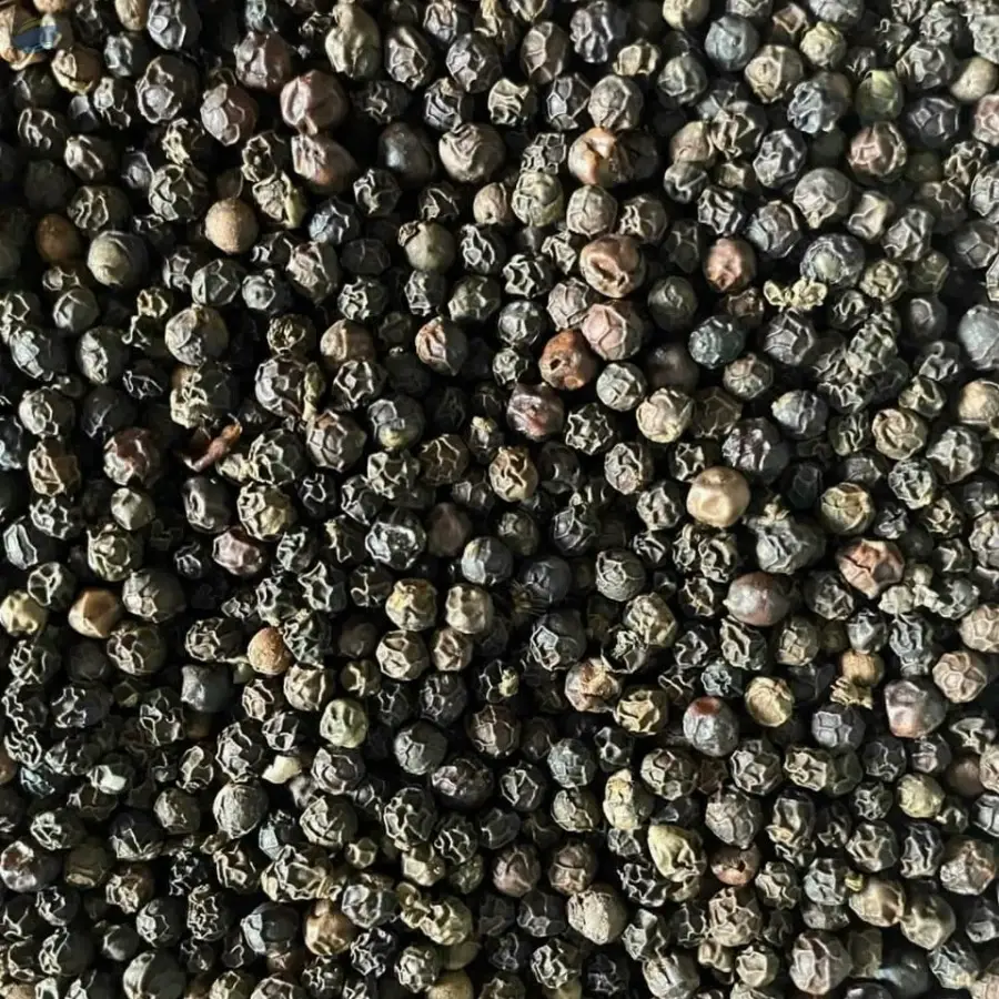 Black Pepper