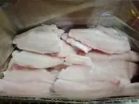 Tilapia Fillet