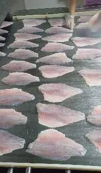 Sea Bass Fillet