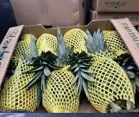 Fresh Pineapple