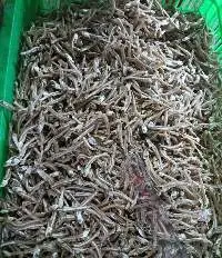 Dried Anchovy Fish
