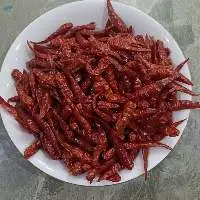 Dried Chili