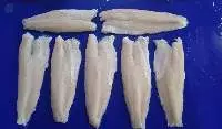 Snakehead Fish Fillet