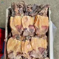 Dried Squid