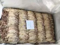Dried Black Squid