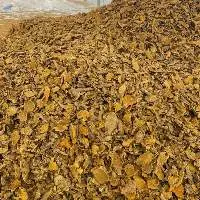 Dried Turmeric