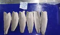 Snakehead Fish Fillet