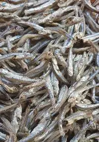 Dried Anchovy Fish