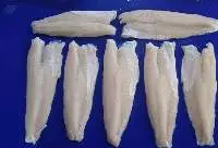 Snakehead Fish Fillet