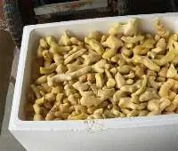 Frozen Ginger
