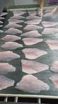 Sea Bass Fillet