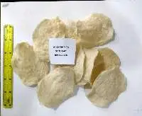 Baked oval fish maw
