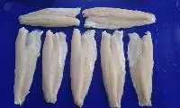Snakehead Fish Fillet