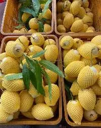 Fresh Mango