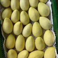 Dried Mango