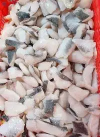 Frozen Snakehead Fish