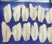 Tilapia Fillet
