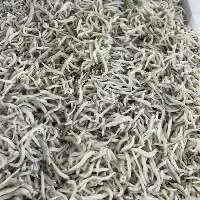 Frozen Chirimen Fish