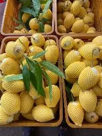 Fresh Mango