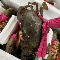 Crab